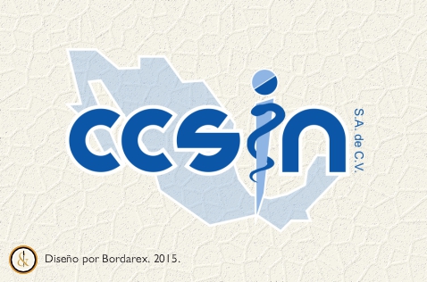 ccsin2015